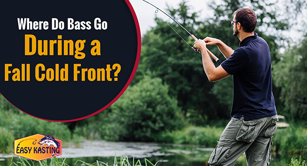 Bass Fishing During a Cold Front Will Shock You